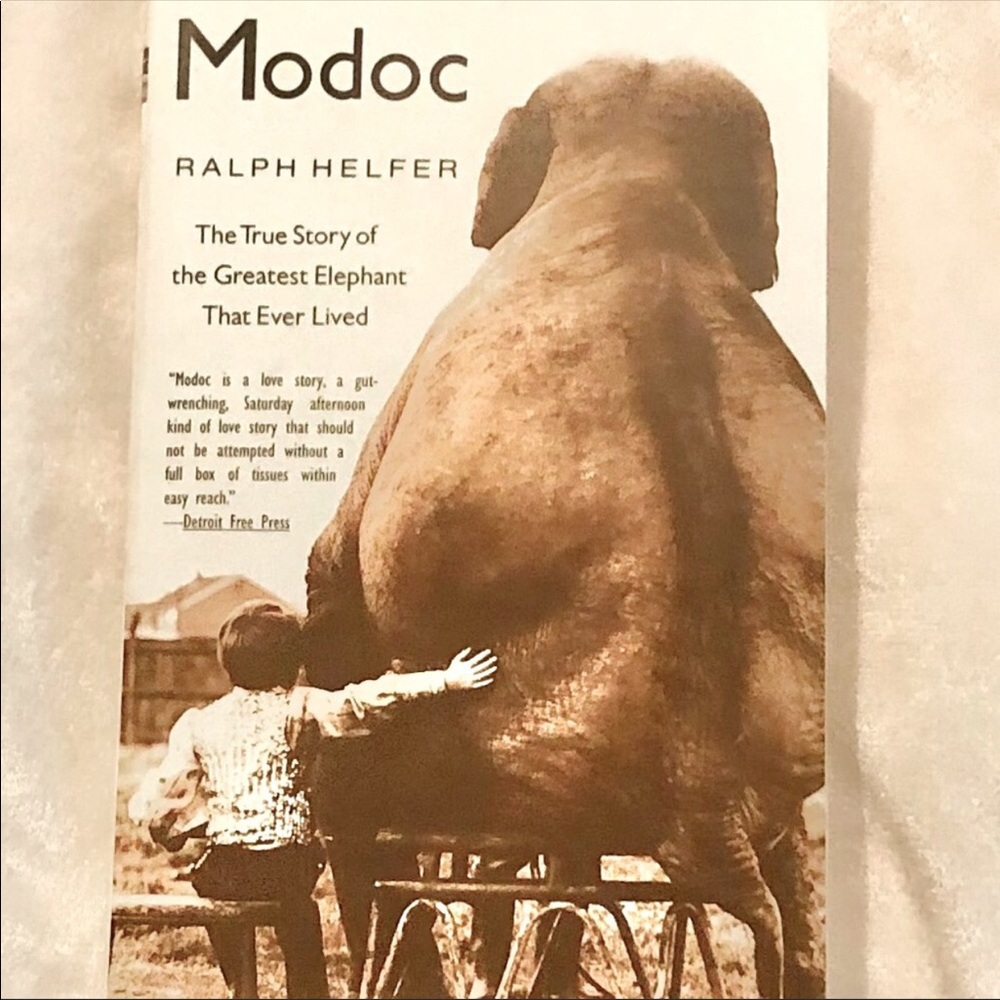 MODOC elephant book is based on a true story🐘💌